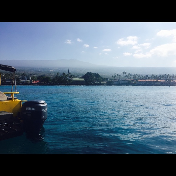 Meet your Posher, Aliah - Picture 1 of 1